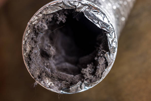 Best Air Duct Cleaning Near Me in Logansport, LA